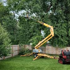 Lawn Renovation and Restoration in Evanston, WY